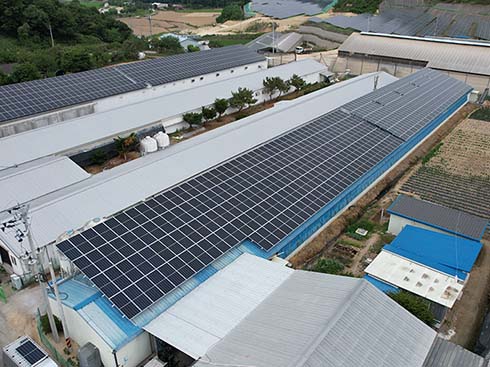 Boîtier de montage sur toit en étain pour panneau solaire de Corée 99.84kw
