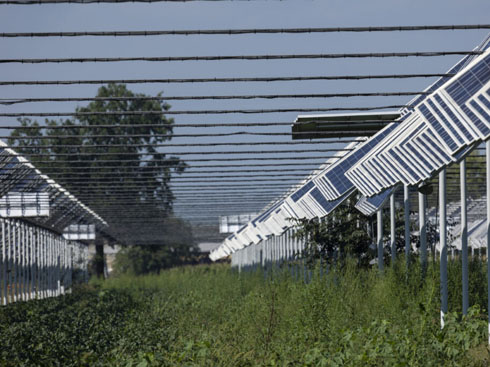 L’Italie établit de nouvelles règles pour une industrie photovoltaïque agricole innovante