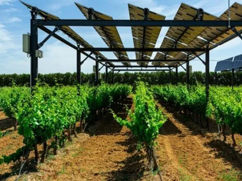 la france définit des normes photovoltaïques agricoles
