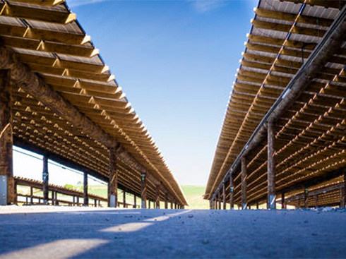 Le Belgian Wildlife Park construit le plus grand abri solaire en bois au monde