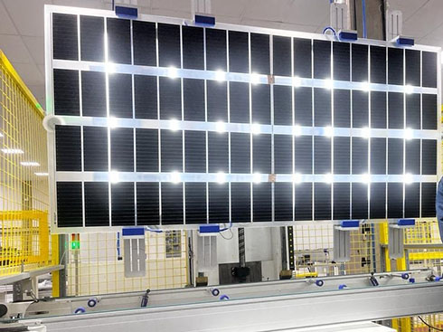 BYD lance un nouveau module photovoltaïque agricole
        