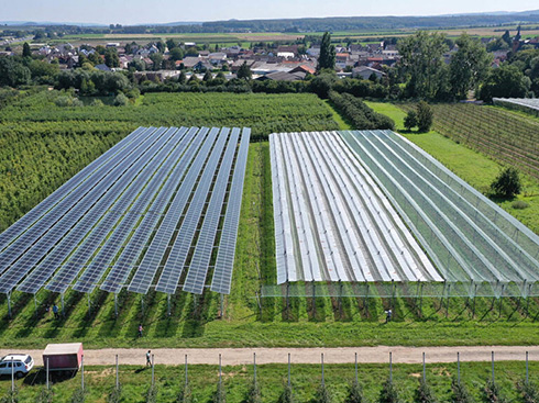 L'Association européenne de l'industrie photovoltaïque publie de nouvelles lignes directrices sur le photovoltaïque agricole