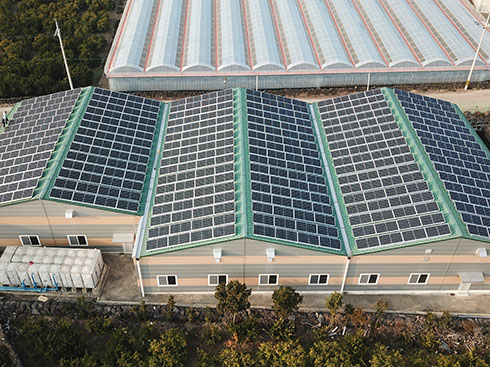 Support de montage de toit solaire pour trépied de ballast 160KW en Corée