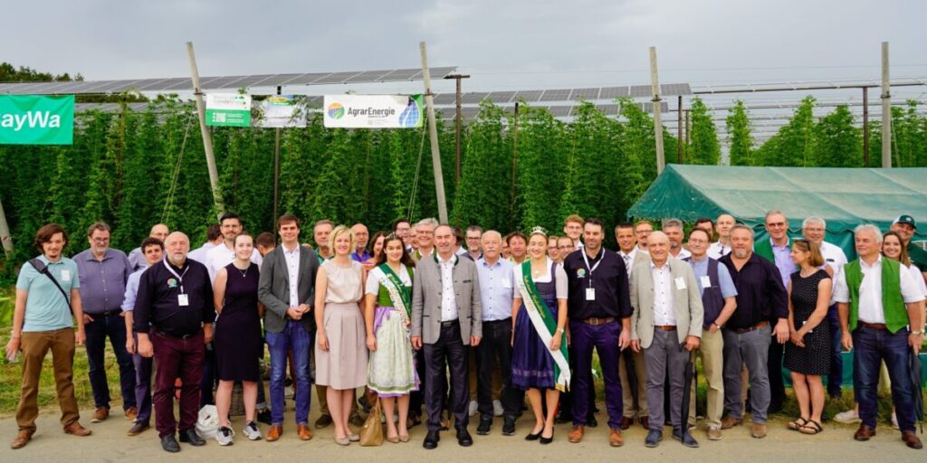 L'Allemagne construit des panneaux photovoltaïques agricoles pour la culture du houblon